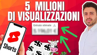 Quanto si Guadagna con 5 Milioni di Views su YouTube Shorts - Nicchia Video Divertenti