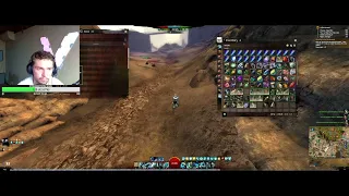 Gw2- When cele gets mad at "cele" READ DESCRIPTION