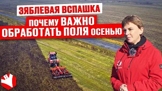 Осенняя обработка почвы | Зяблевая вспашка | Земледелие