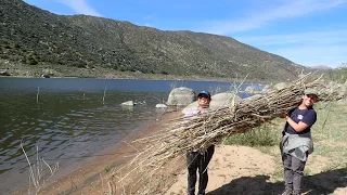 Invasive Removal in the San Diego River Headwaters