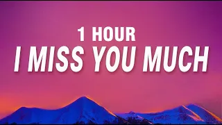 [1 HOUR] Akon - I miss you much (Right Now Na Na Na) (Lyrics)