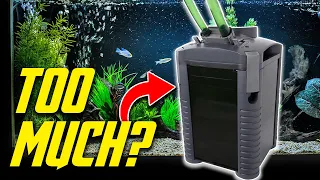 How Much Filtration Does Your Aquarium Need? (Filter Guide)