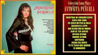 Antoñita Peñuela - Mientras mi corazón sufre