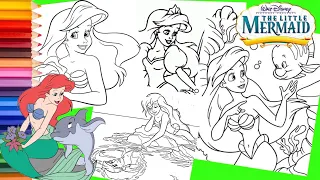 Coloring The Little Mermaid - Disney Princess Ariel Coloring Pages for kids