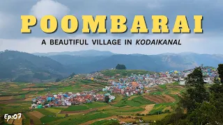 POOMBARAI | Kodaikanal Tourist Places | POONDI | Kilavarai | Terrace Farming | Ep-07