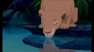 Disney the lion king Can You Feel The Love Tonight norwegian