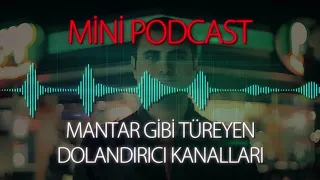 MP - İnternette Mantar Gibi Türeyen Dolandırıcı Kanalları