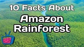 10 Mind Blowing Facts About The Amazon Rainforest