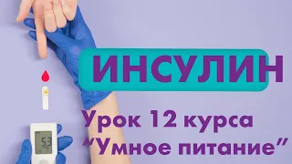 Инсулин. Урок номер 12 курса "Умное питание"