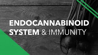 Role of the Endocannabinoid System in Immune Health