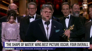 'The Shape of Water' wins best picture Oscar, four overall