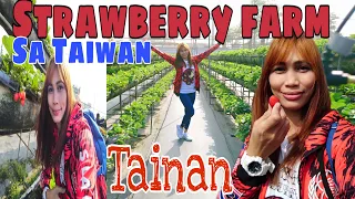 Strawberry sa Taiwan tainan