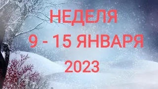 СТРЕЛЕЦ ♐. НЕДЕЛЯ 9-15 ЯНВАРЯ 2023. Таро прогноз.