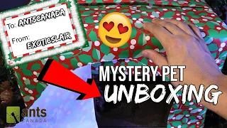 MYSTERY PET UNBOXING: ExoticsLair Sent Me Something Alive