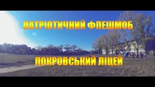 Екологічно-патріотичний флешмоб Покровського ліцею