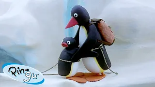 Pingu the Mountaineer 🐧 | Pingu - Official Channel | Cartoons For Kids