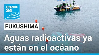 Vertido de aguas radioactivas al mar, ¿un día triste para la humanidad? • FRANCE 24 Español