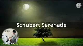 슈베르트 세레나데 (Piano) Schubert serenade