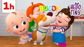 Buddy The Dog | One Hour Compilation! | Kids Songs and Nursery Rhymes | Hello Tiny