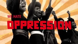 THE BLACK PANTHER PARTY FOR SELF-DEFENSE