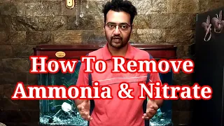 How To Remove Ammonia & Nitrate In Aquarium / Ammonia In Fish Tank & Nitrate in Fish Tank