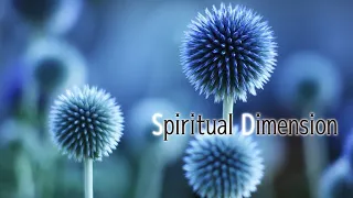 Tranquil and beautiful music/ 寧靜與優美的音樂/ 고요하고 아름다운 음악/ 静かで美しい音楽 #Spiritual Dimension