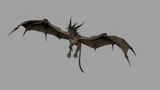 Dragon Flying cycle test