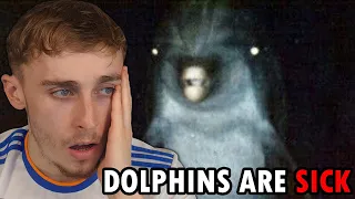 Reacting to Why The World Should Fear Dolphins not Sharks