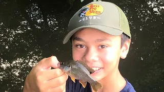 Creek Fishing with Worms!