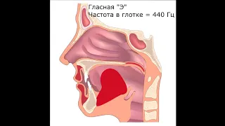 Академическое пение. Попадание в резонаторы с помощью языка. Andre Serba