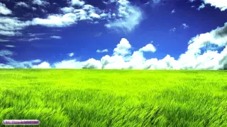 Guitar Music | Wide Open Fields | Relaxing Easy Listening Guitar Music