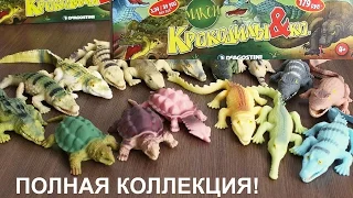 Крокодилы&КО Макси: обзор полной коллекции. Целая коробка!