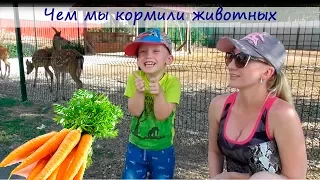 Поход в зоопарк Ука.  Кормим животных морковкой - посмотрите кто любит морковку больше всех?