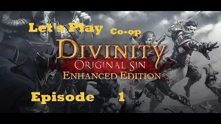 Let's Play Divinity Original Sin (Blind/Co-op) - Episode 1 [Character Creation]