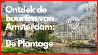 De Plantage: Djoeke - De buurten van Amsterdam | Uit in Amsterdam