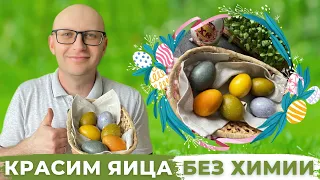 Красим Пасхальные Яйца Без Химии и Шелухи / Как покрасить яйца на Пасху