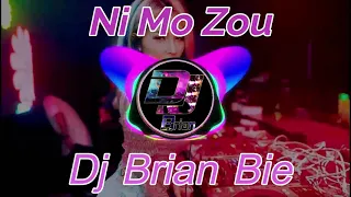 Ni Mo Zou 你莫走 Remix By Dj Brian Bie