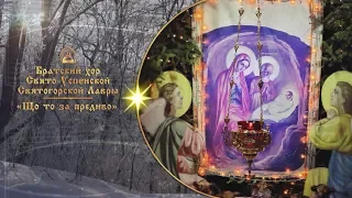 🎄 Що то за предиво ⛄ Братский хор Святогорской Лавры