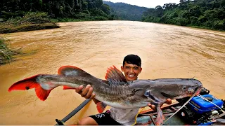 Tay Chân Bủn Rủn Khi Chạm Mặt Thủy Quái Trong Dòng Nước Lũ | 3 Ngày Săn Tìm Cá Lăng Rừng Mưa