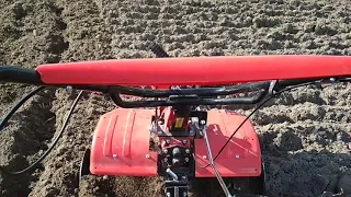 Soil cultivating - Hecht 7100 ( Glebogryzałka )