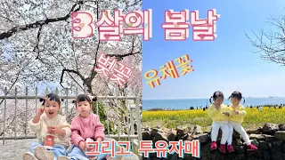 25개월 투유자매(슬도/남편생일/선암호수공원/둥이싸움)