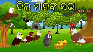 Chilanka Sabha Odia Moral Stories Odia Bird Stories Tikki Chadhei Gapa Tuni Chadhei Gopo Odia Gappa