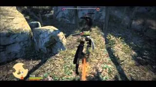 Dragons Dogma-"Chimera"