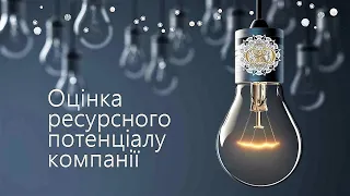 Аналіз ресурсного потенціалу та інтелектуального капіталу компанії