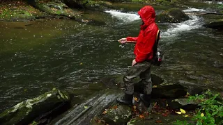 Trout in Tennessee - Episode 038
