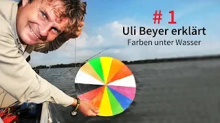 Die besten Köderfarben: Welche Farben sehen Fische wirklich?