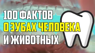 100 НЕОЖИДАННЫХ ФАКТОВ О ЗУБАХ ЧЕЛОВЕКА И ЖИВОТНЫХ