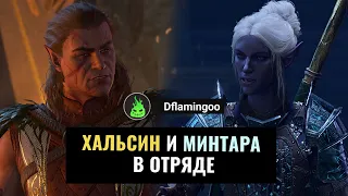 BALDUR'S GATE 3  |  Как Завербовать Минтару и Хальсина