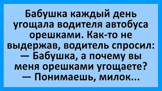 Бабушка каждый день угощает водителя автобуса орешками... Сборник смешных анекдотов! Юмор!