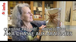 ARAIGNEES : AVEC CHRISTINE ROLLARD, ARANEOLOGUE